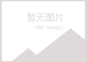 宁夏盼山建设有限公司